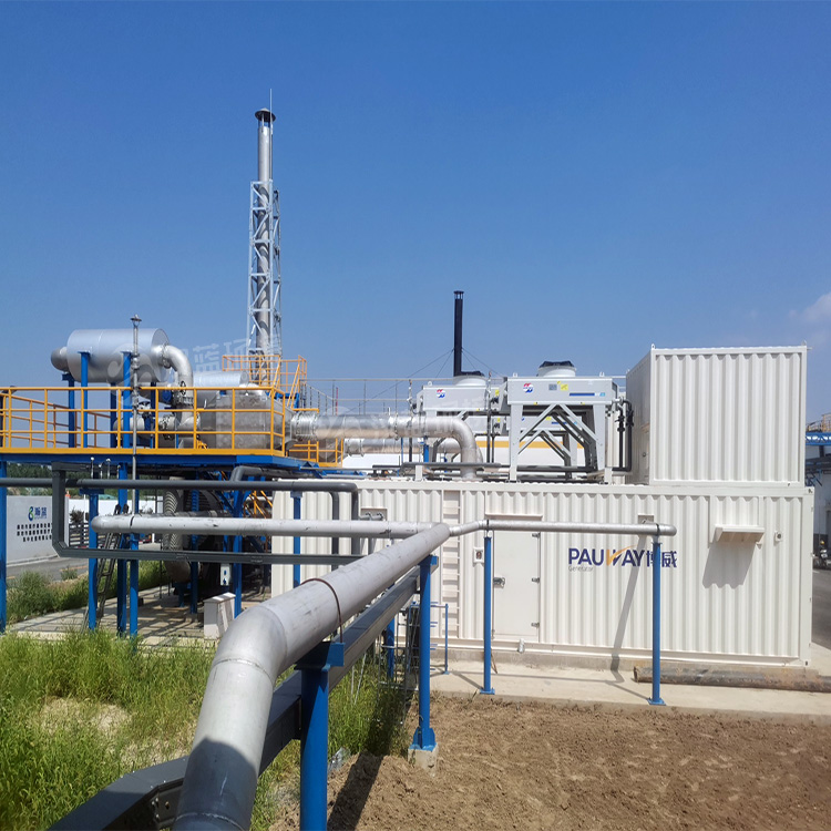 萬純SCR脫硝項目-餐廚垃圾沼氣發電機組脫硝 萬純SCR脫硝項目-餐廚垃圾沼氣發電機組脫硝